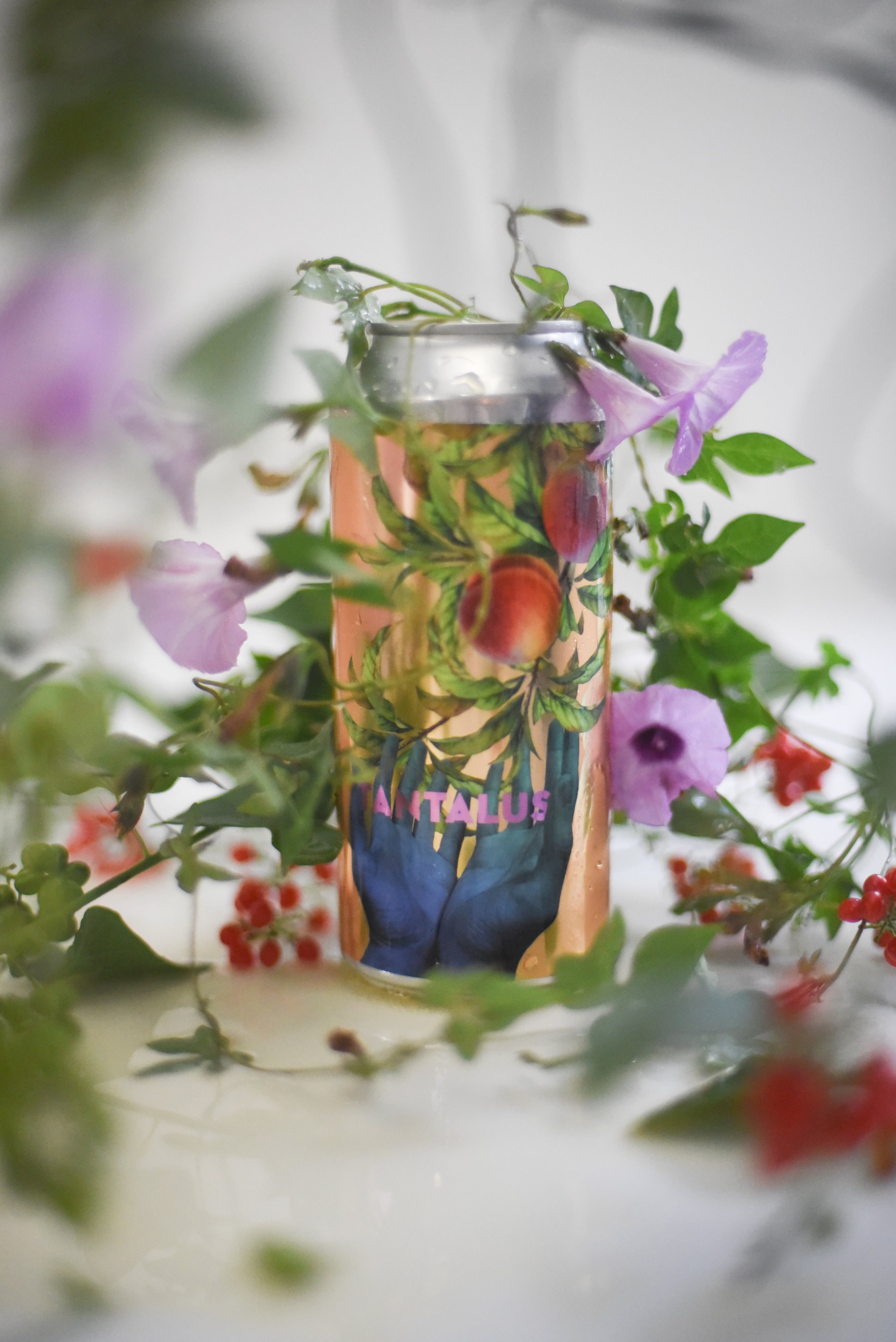 CAN TO GO Tantalus My Site